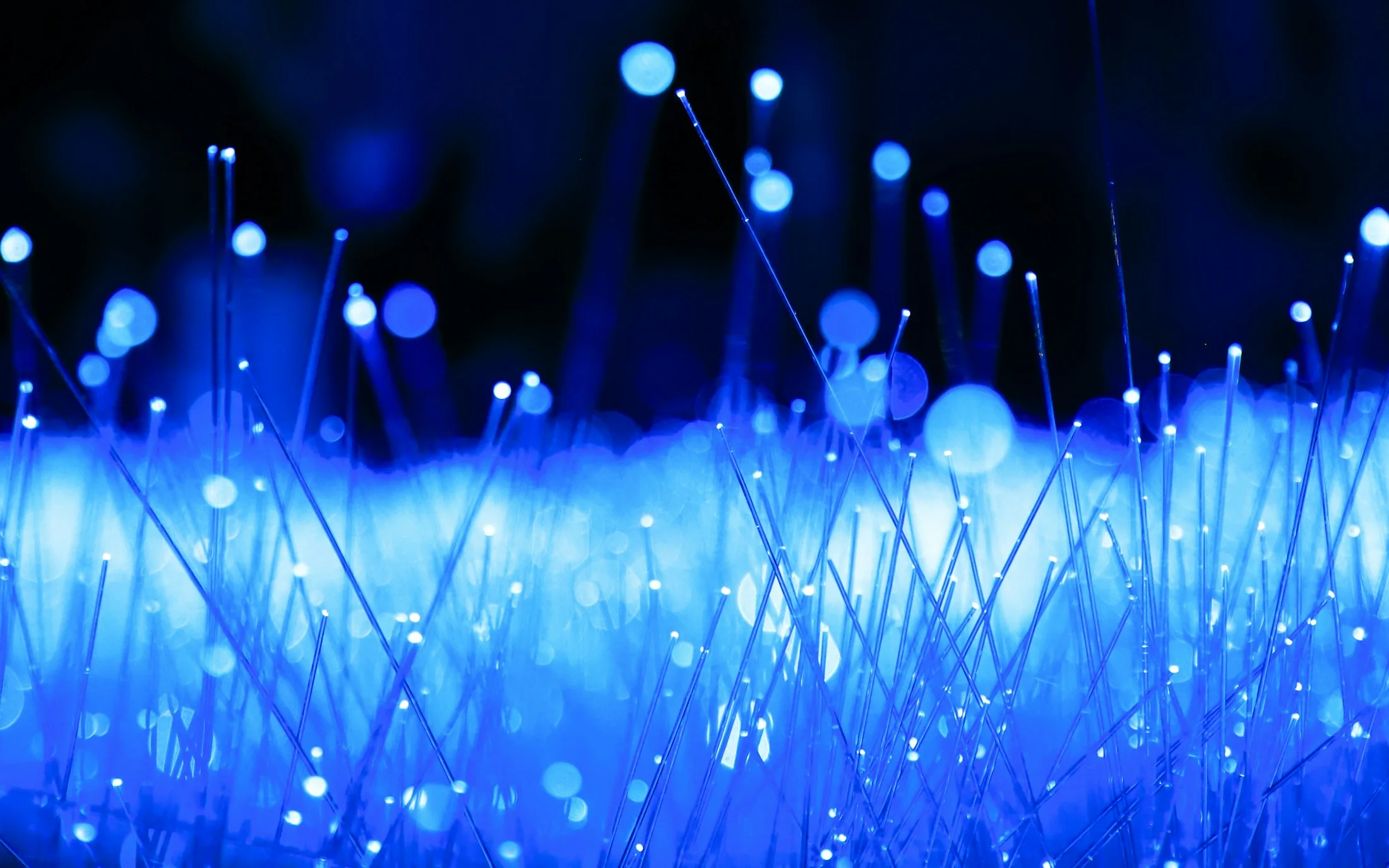 Blue fiber-optic paths branching through a dark field